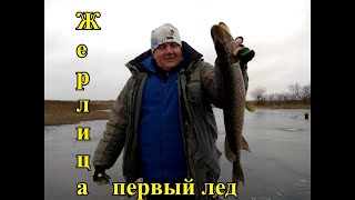 Рыбалка во владимирской области что где когда