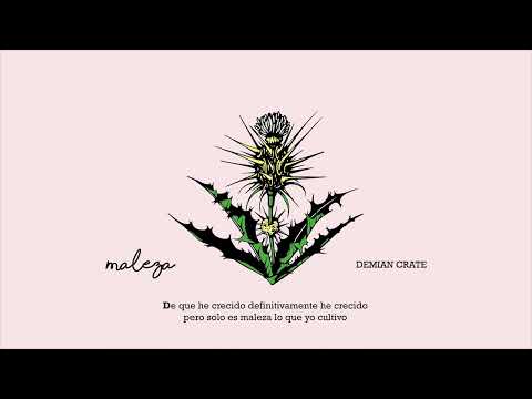 Maleza - Demian Crate (Ft. Zaheed Santana y Dj Soncker) (Abril) (Jardín)