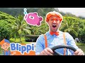 Blippi Goes Fishing In Hawaii Educational Videos For Toddlers