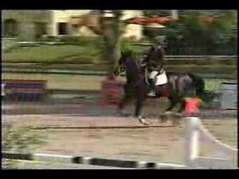 Ursita National Horse Show Speed Stake