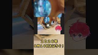 日曜日、今日はゆっくりしよう。｜8月16日のおはろぐ