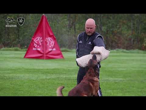 Erik Engeland & Crutt C