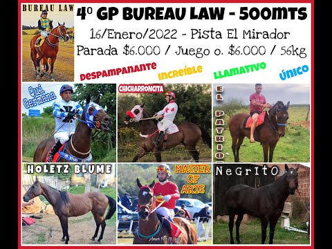 Participantes GRAN CLASICO BUREAU LAW - 500M