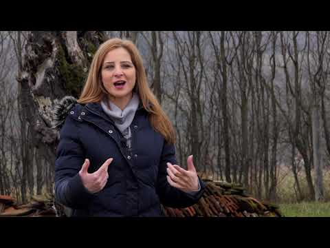 Biram selo ep. 51 - Ovčarstvo, Lelić - 18.12.2019.