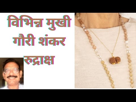 Gauri Shankar Rudraksha of different mukhi विभिन्न मुखी गौरी शंकर रुद्राक्ष का उपयोग