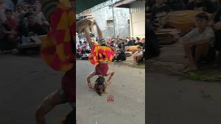 Download lagu SALTO SKILL DEWA BUJANGGANONG REOG PONOROGO mp3