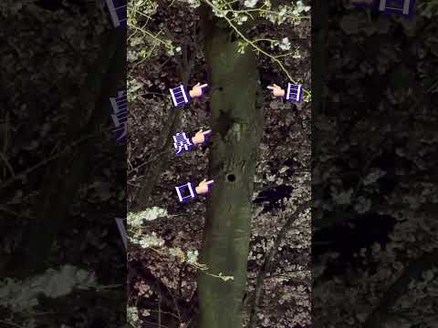 園芸 適切な桜の木を選ぶ