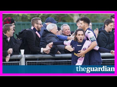 Dulwich hamlet fans pull together to ward off developer’s plans | paul macinnes