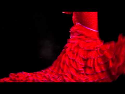 Ivan Tucakov & Tambura Rasa - Gypsy Love