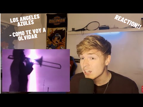 Los Ángeles Azules - Cómo Te Voy A Olvidar | REACTION 🔥