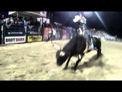 Daniel Poole on Splat Cat