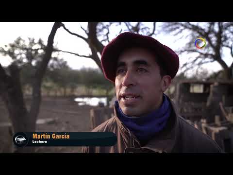 Ranches and Traditions 198 / Martin García - Lechero