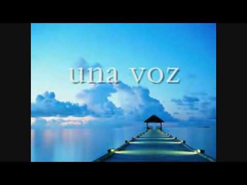 ZV-C-PROMO.wmv