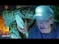 Intentional Fire Causes Pythons To Flee Swamp People Serpent Invasion S4