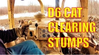 D6 CAT CLEARING STUMPS Standard shift Dozer #Firewood