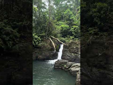 Quebrada Grande un paraíso rodeado de Naturaleza #panama #penonome #cocle #travesia #travel