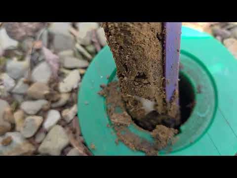 Lots of Termites in the Sentricon® Bait Stations in Fair Haven, NJ