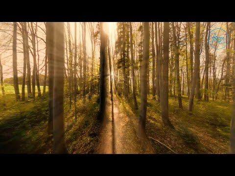 Seeing the Bigger Picture | Rabbi Yussie Zakutinsky