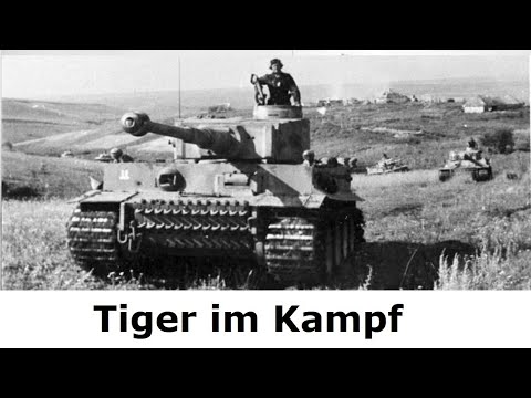 Tiger - Gefechtsbericht schwere Panzer Abteilung 503  / Ostfront 1943