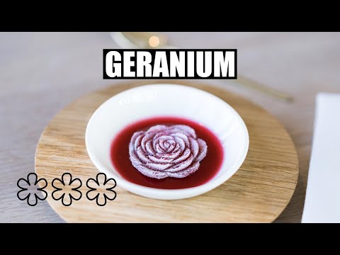 Geranium is the World's Best Restaurant 2022! Copenhagen Stays No. 1 on the World’s 50 Best List
