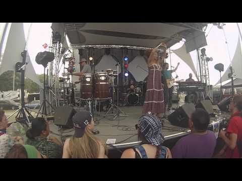 Orgone - Don't Stop (live at Summer Camp 2014)