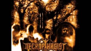 Necrophagist - The Stillborn One