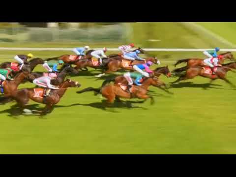 2021.12.04 Southern Cross Stakes (RSA) - Kitty Cat Chat