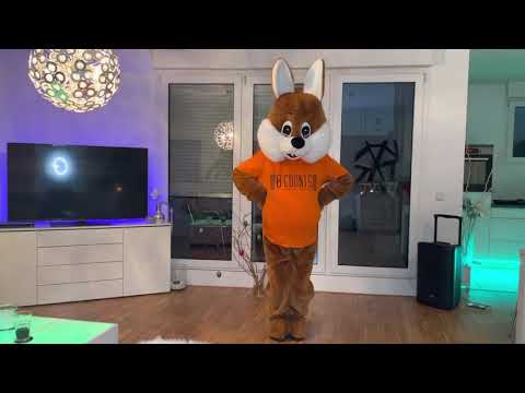 8COUNTS GELDERN - Hase Hoppel