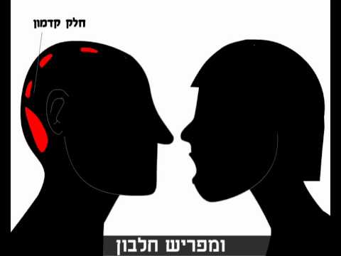 ההבדל בין קוקסינלית לבין קוקסינל - חדשות 2026