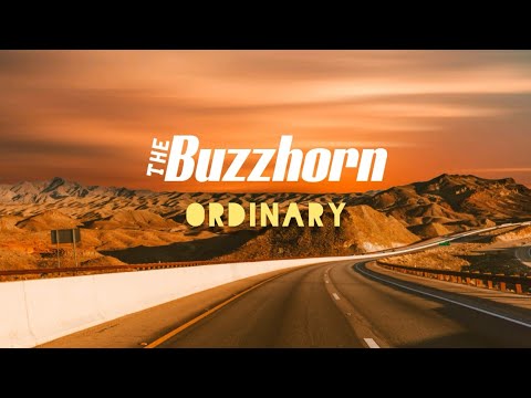The Buzzhorn - Ordinary (Legendado/Tradução)