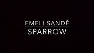 Sparrow (Piano Karaoke Instrumental) Emeli Sandé