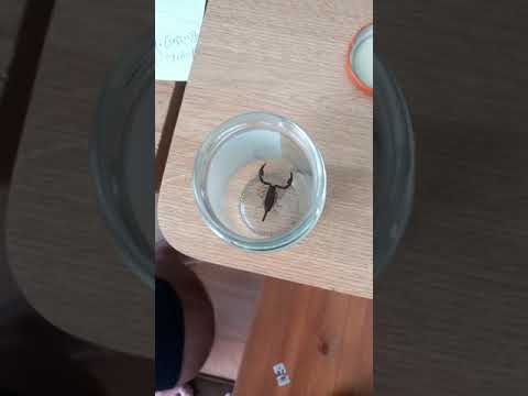 Youtube video image