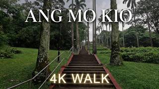[4K] Singapore Ang Mo Kio Library to Town Garden West | Rainy Hill Walk Through AMK Greenery | 2026
