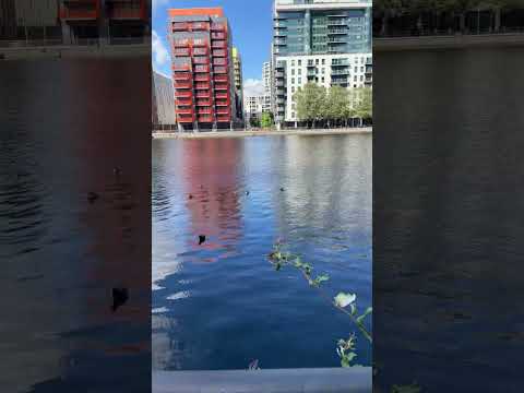 Arena tower Isle of dogs canary wharf