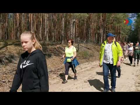 Iść zgodnie z wytyczonym szlakiem - 13.01.2023 r. - krosno24.tv