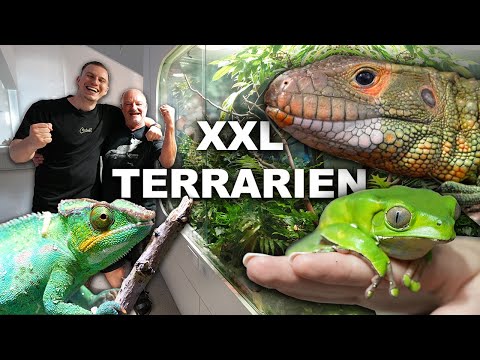 Extreme TERRARIEN-TIERE und was sie brauchen.. 🐍