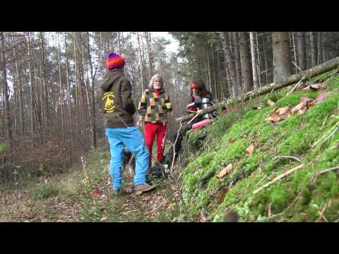 Hier "shepherds"! Mit AUSSIE-Rudel unterwegs - Winterhauch im Spessart - Herbst 2014