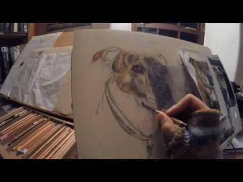 Thumbnail of Staffy and Anatolian shepherd in pastel pencils on fisher400