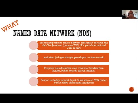 Named Data Network as a Future Internet