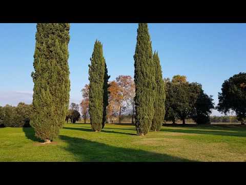 Cascine di Tavola - Prato