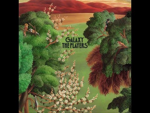 The Players Feat. Hiromasa "Colgen" Suzuki ‎– Heavenly Maiden ℗ 1979