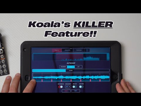 How to Sample ANYTHING in Koala Sampler!
