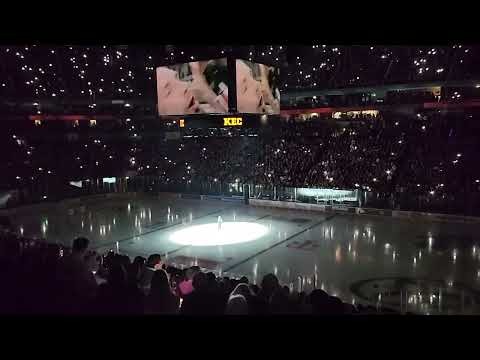 Kölner Haie vs Eislöwen Dresden 16.11.2025 (Hymne und Einlauf KEC) 💪