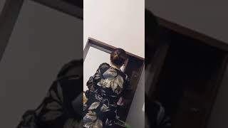 Download lagu Video mentahan halu buat prank mantan/Story Wa ||berdua dikamar sama cewek cantik|| mp3