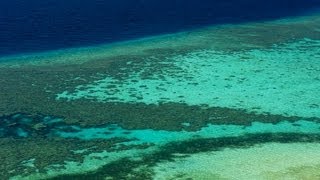 preview picture of video 'Trip to Kanawa Island in Komodo National Park | Hiking & Snorkeling'