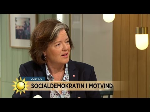 Carin Jämtin: "De är väldigt låga siffror" - Nyhetsmorgon (TV4)
