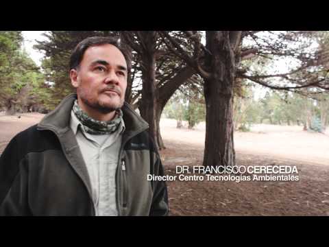 USM - Dendroquímica