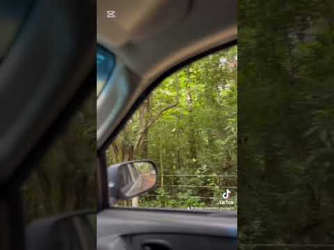 COSTA RICA, volcan Miravalles. Camino de los Guanacastes. #costarica #guanacaste #volcan