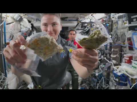 Expedition 66 Space Station Astronauts Answer Mount Rainier Student Questions - Jan. 18, 2022
