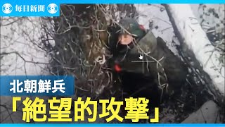 過去1週間で北朝鮮兵1000人死傷　米高官「人海戦術」と批判